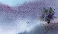 属龙人2022年运势详解最准