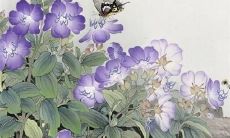 2022年犯太岁名单