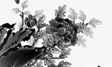 2022生肖狗农历运势