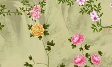 属猴人2022年牛年的运势