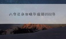 八字己未日流年运势2022年
