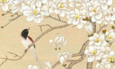 2022属狗的全年运势1970男