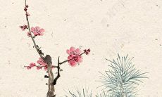 属猪人2022年佩戴什么吉祥物好 选择这几样招财旺运