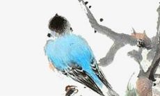 2022年生肖属猴的人运势