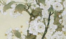 2022年1982年狗男运势