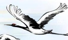 宋韶光属鼠的人2022年运程 全年每月运势详解