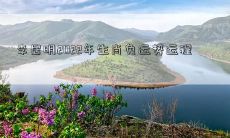 李居明2022年生肖兔运势运程