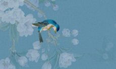 2022年属兔9月运势