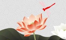 2022年属虎人佩戴什么最好