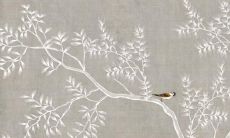 82属狗未来5年运势运程解析