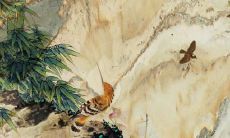 鸡运势2022年每月运程