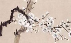 属狗人2022年情感的运势