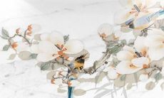 88年属蛇人2022年整体运势