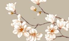 1998年的虎哪年犯太岁