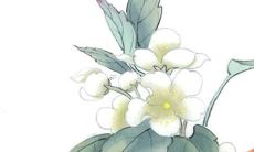 87年的兔2022年开业吉日 87年属兔开业注意事项