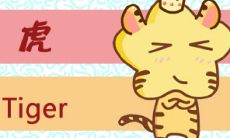 属虎人找对象相差几岁好 三到五岁最好