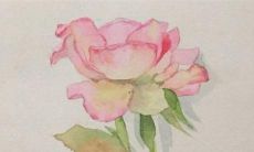 戊土男人2022年虎年运势