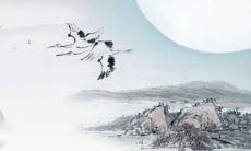 2022年属鼠的贵人是什么属相 肖牛肖鸡和肖猴