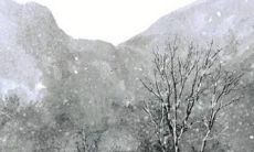 2022年生肖鼠的全年运势女