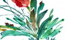 2022属猪全年运势如何