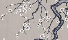 属牛的人2022年工作运势