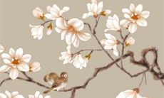 属虎的明年犯太岁吗