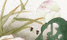 2022年走大运的属相