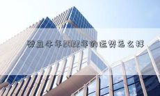 癸丑牛年2022年的运势怎么样