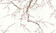 属虎的戴金好还是玉好 戴对了旺运又旺财