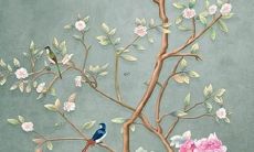 属狗的2022年学业运势怎么样 有所下降