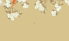 1987年兔2022年每月运势运程