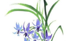 属猴2022年能生孩子吗 属猴人虎年犯太岁生娃好不好