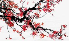 76年属龙人2022年每月运势运程