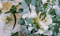 从来不盲目追星的星座女