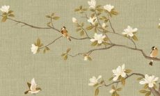 犯太岁2022年生肖是什么马