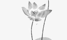 属虎的在2022年运势怎么样