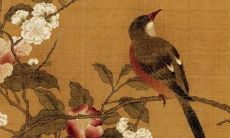 1979年2022每月运势