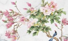 屠牛人在2022年的运势