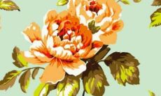 81属鸡女2022感情运势