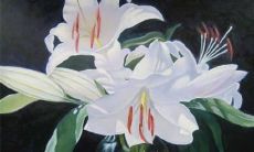 72年6月生属鼠2022年运势及运程