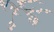 1980年属猴43岁的运程