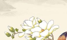 2022年犯太岁风水方位与化解 犯太岁应该怎么办