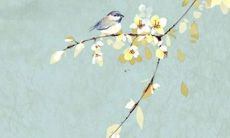 女鼠人2022年全年运势运程