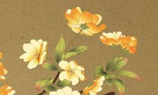 七二年的鼠在2022年的运势