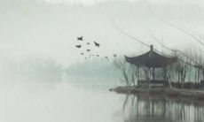 生肖鸡2022年婚姻运势