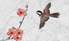 92女猴2022年运势每月