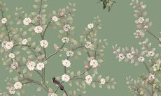 王力宏2022年运势