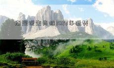 南翌说生肖猴2022年运势