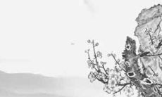 生肖虎虎年运势2022