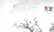 身弱癸水2022壬寅年运势